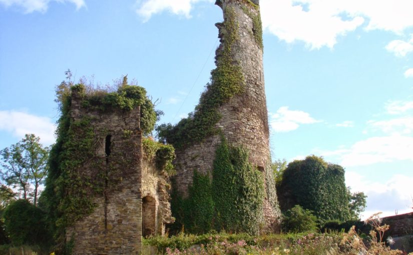 Sowing Seeds of Interdisciplinary Work: Relict Plants at Medieval Castles