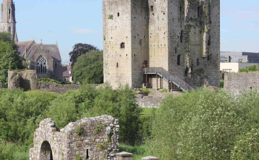 Viewscapes from Trim Castle