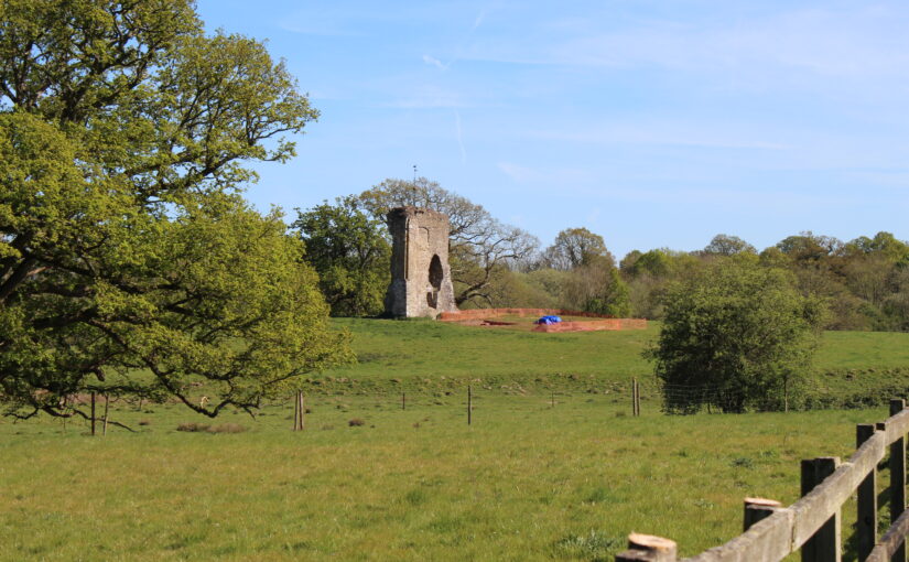 Ten days digging at Knepp Castle