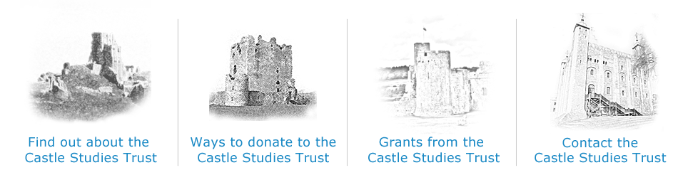 Navigate Castle Studies Trust Website