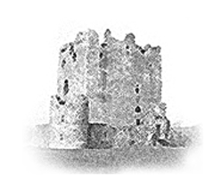 Donate to Castle Studies Trust